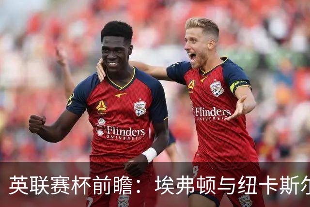 英联赛杯前瞻：埃弗顿与纽卡斯尔的较量及其影响因素分析